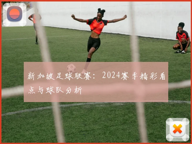 新加坡足球联赛：2024赛季精彩看点与球队分析