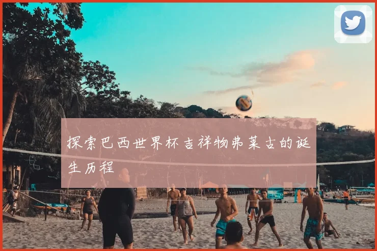 探索巴西世界杯吉祥物弗莱古的诞生历程