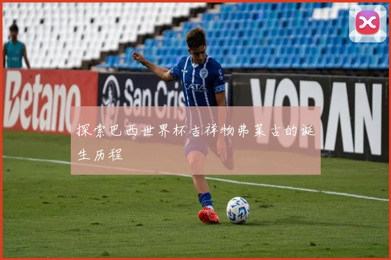 探索巴西世界杯吉祥物弗莱古的诞生历程